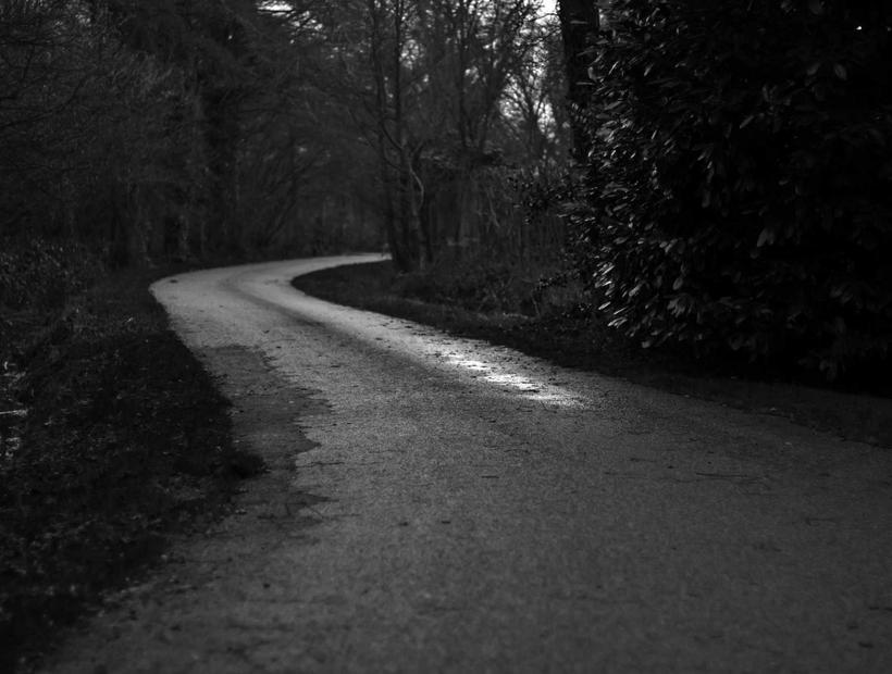 Zone cardio de la salle Umbralhollow Cliff à Montpellier